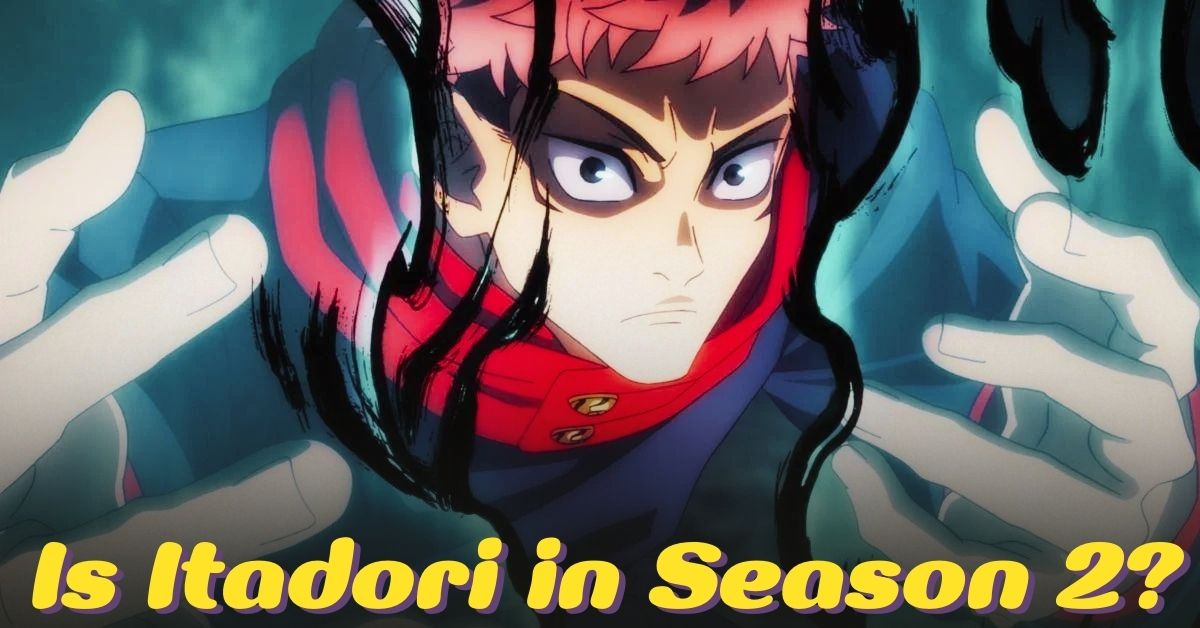 Is Itadori Mysteriously Absent In Jujutsu Kaisen Season 2? Truth Revealed!