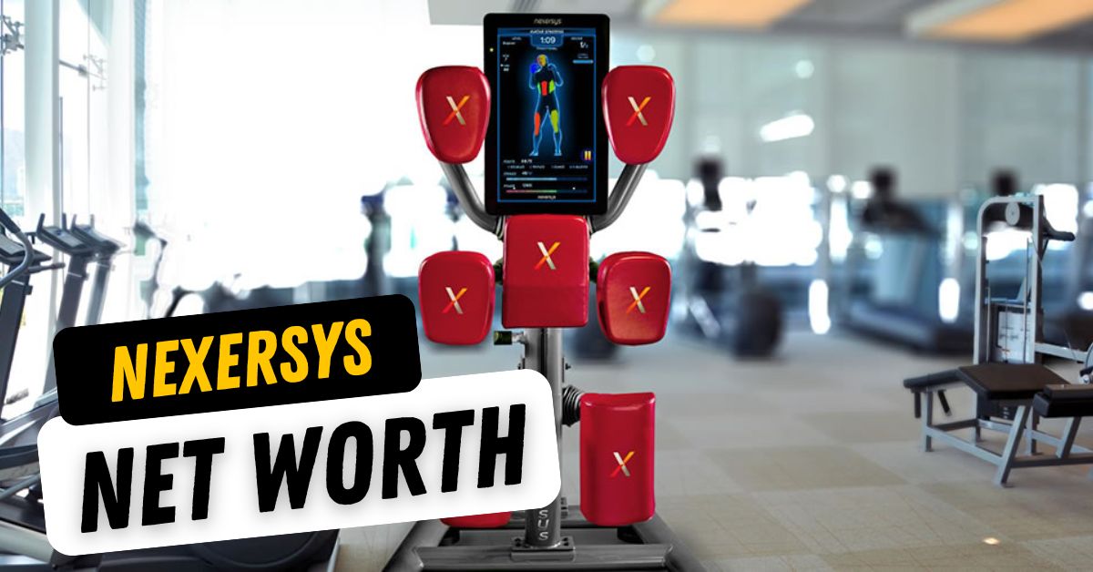 Nexersys Net Worth