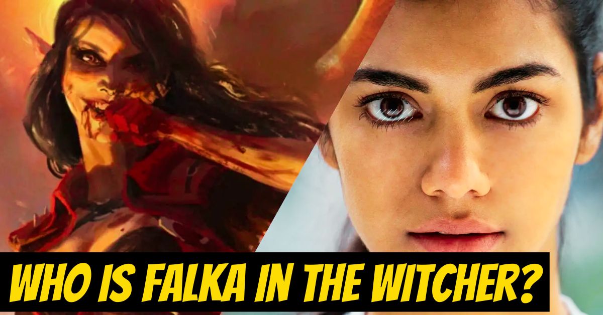 Who is Falka in the Witcher?