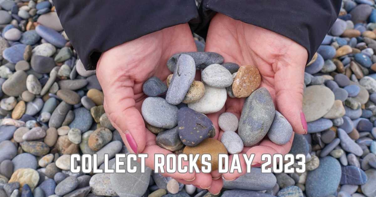 Collect Rocks Day 2023