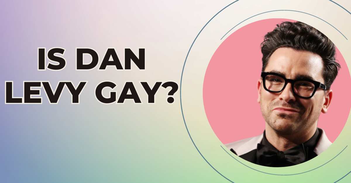 Is Dan Levy Gay?