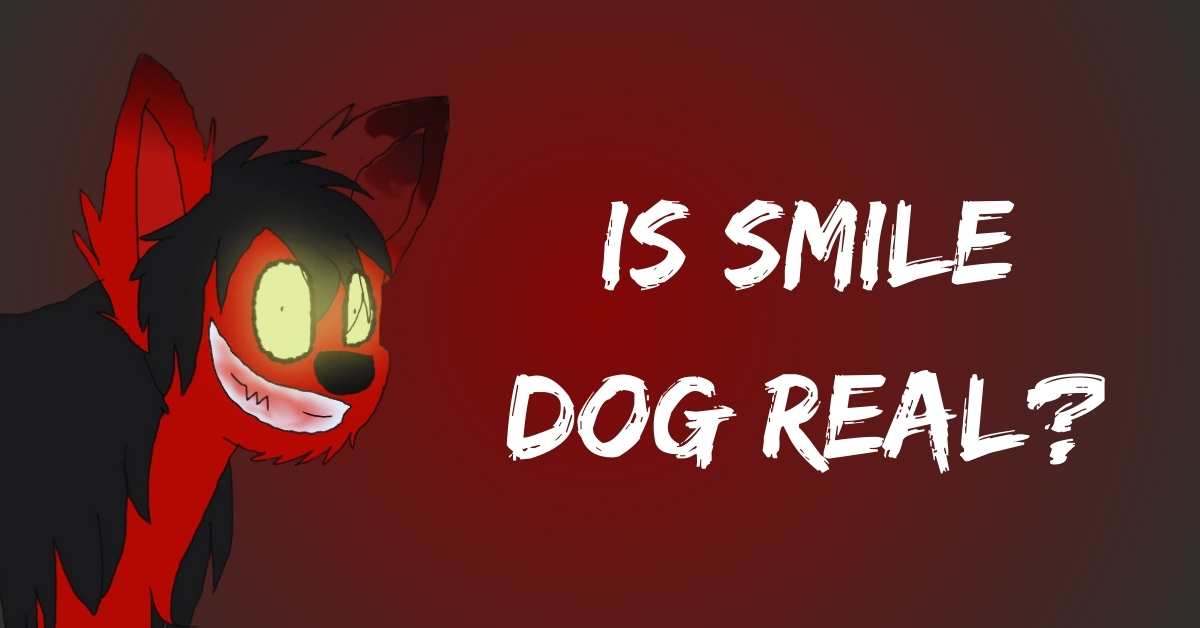 Is Smile Dog Real