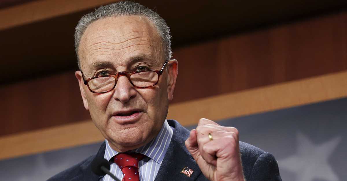 chuck schumer net worth