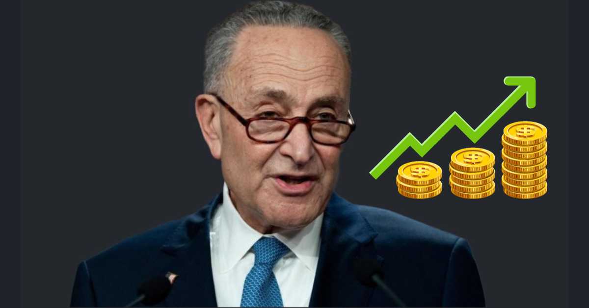 chuck schumer net worth