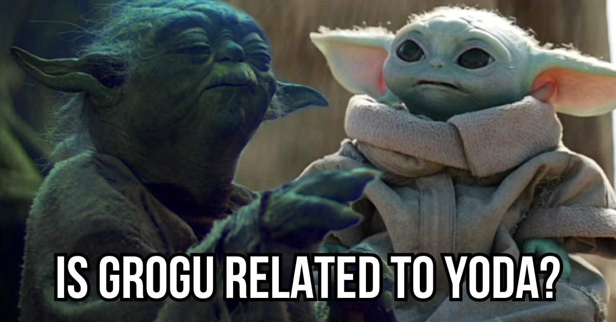 Is Grogu Related to Yoda