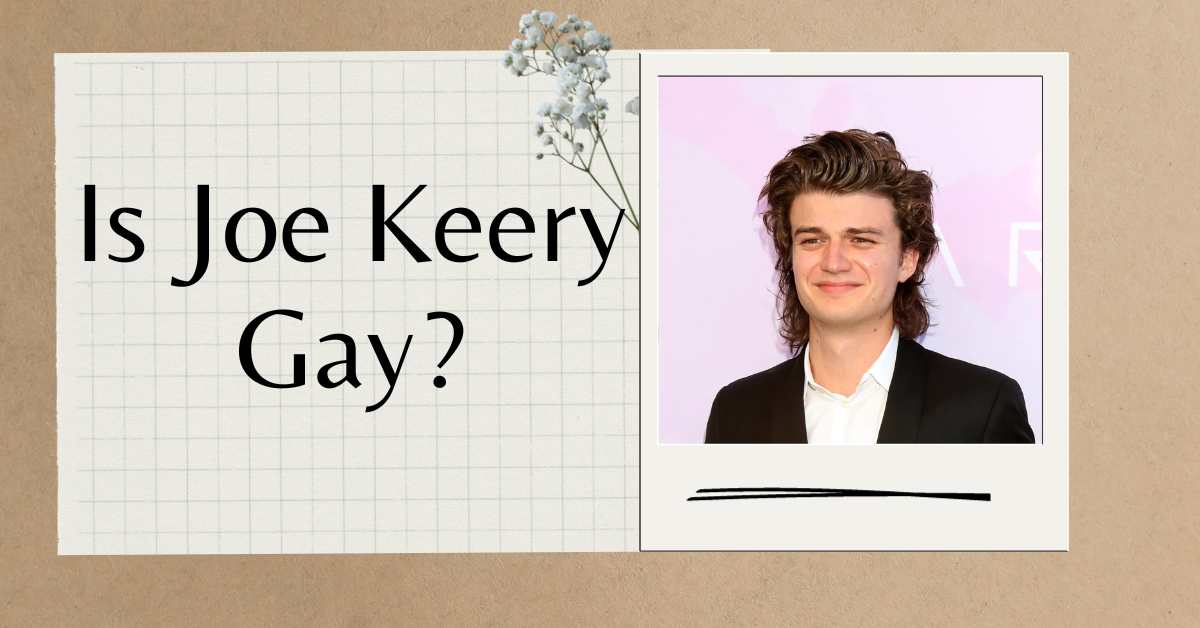 Is Joe Keery Gay