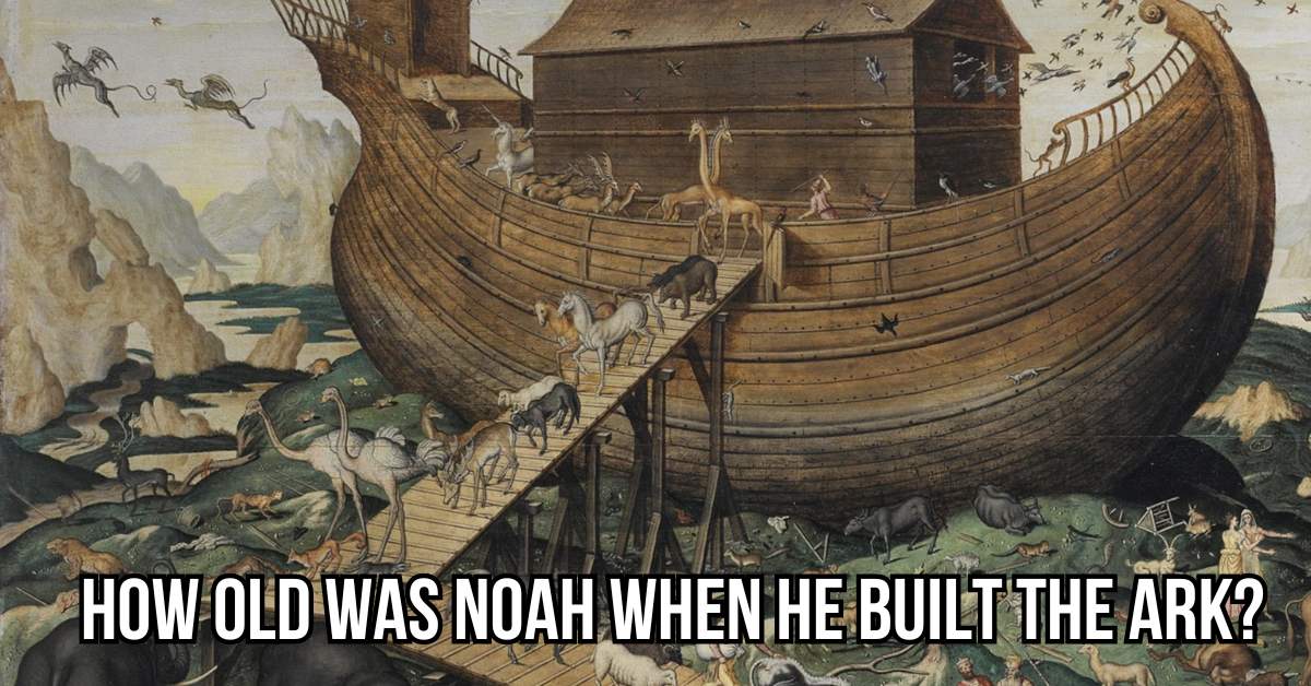 how old was noah when he built the ark