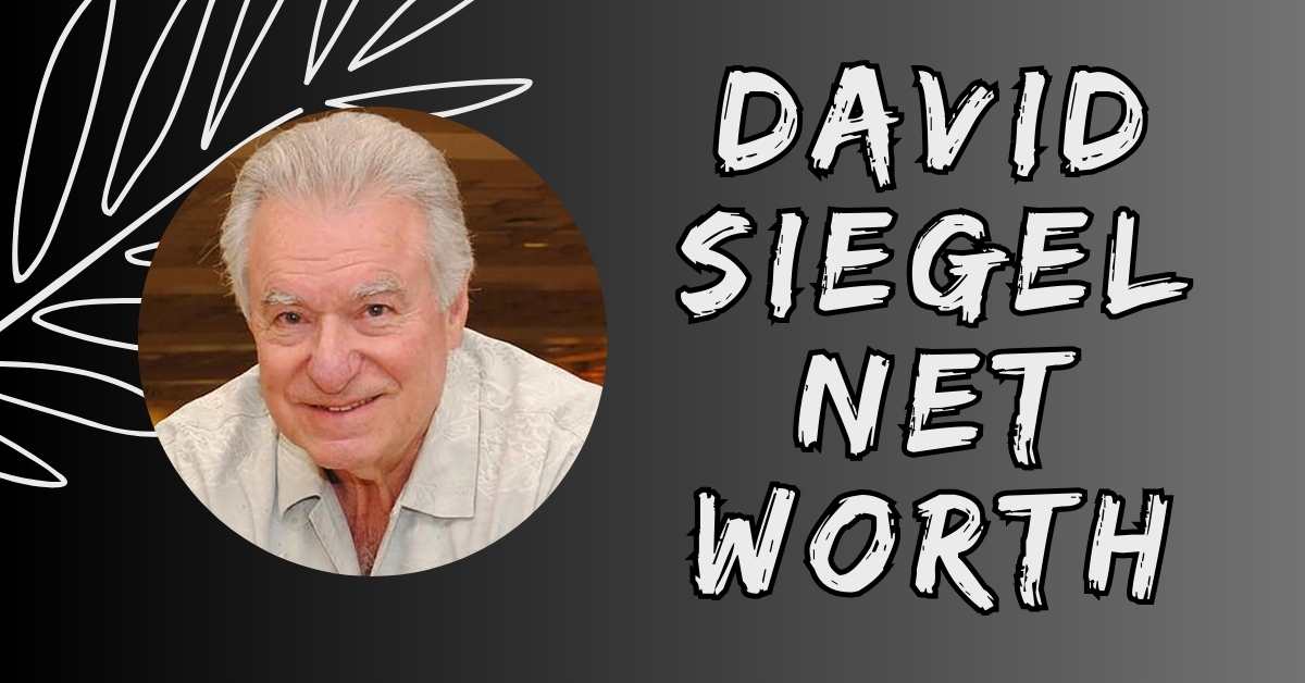 David Siegel Net Worth