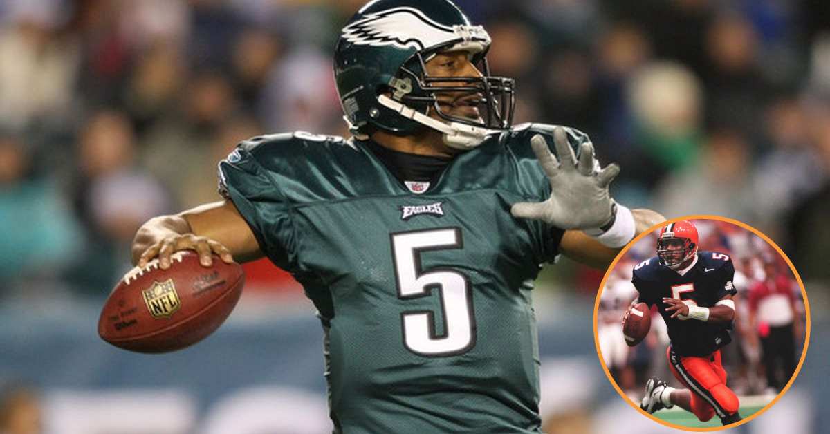 Donovan Mcnabb Career