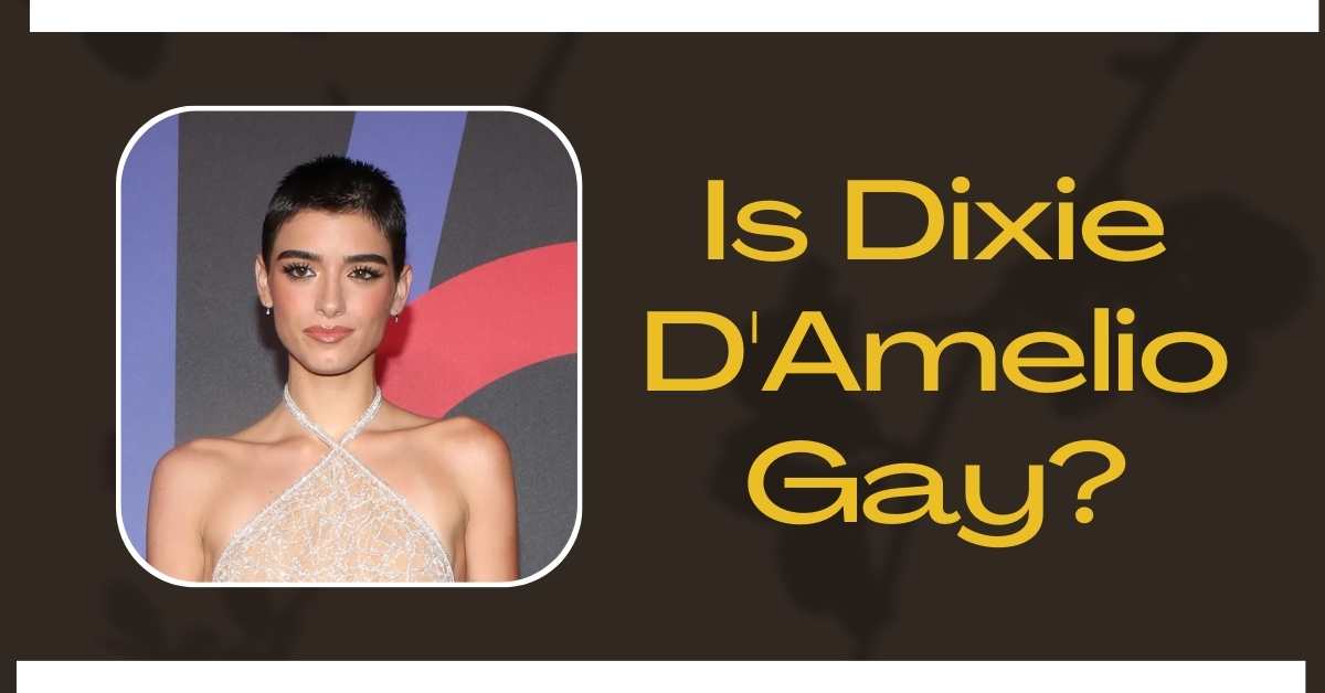 Is Dixie D'Amelio Gay?