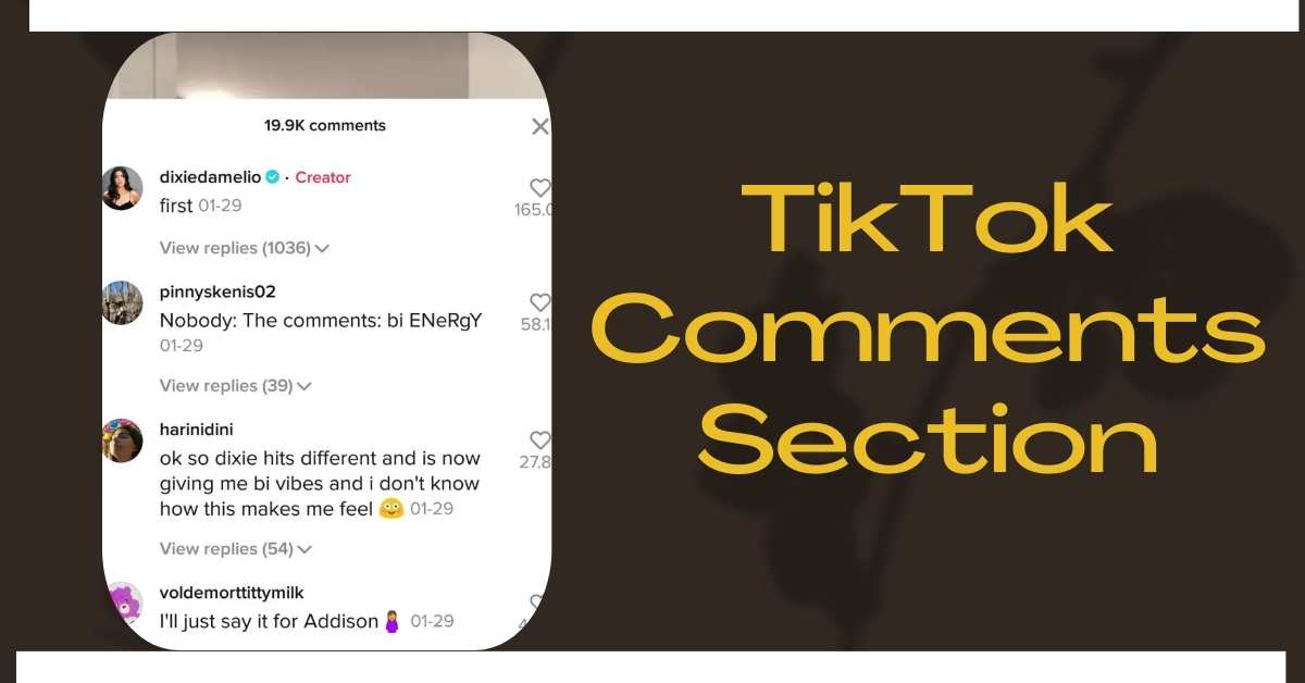 TikTok Comments Section