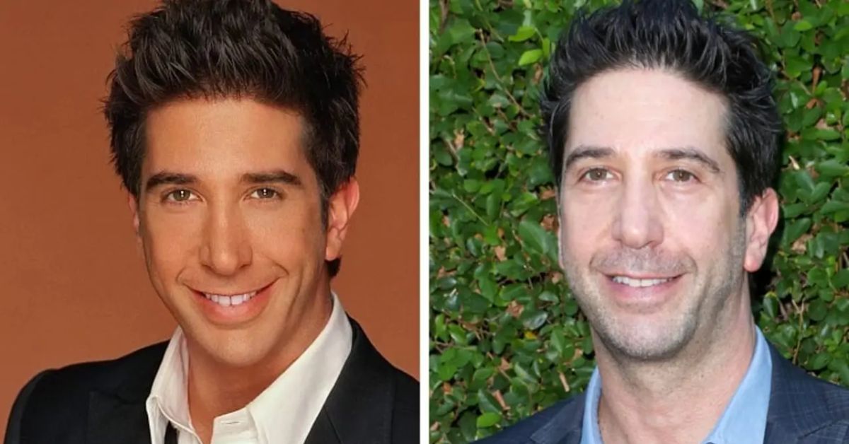 david schwimmer plastic surgery