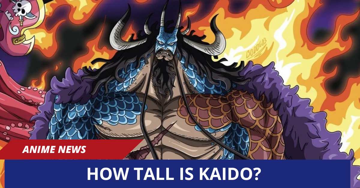 How Tall is Kaido?