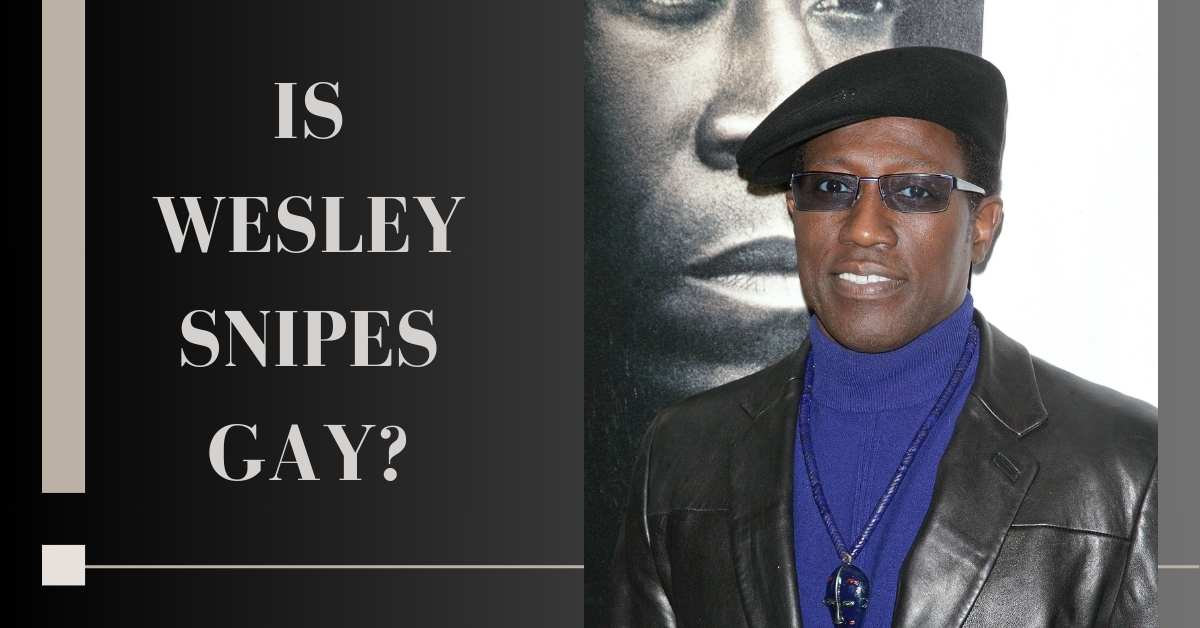 Is Wesley Snipes Gay?