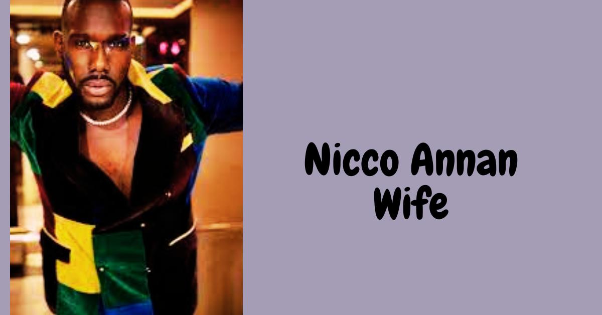 Nicco Annan Wife