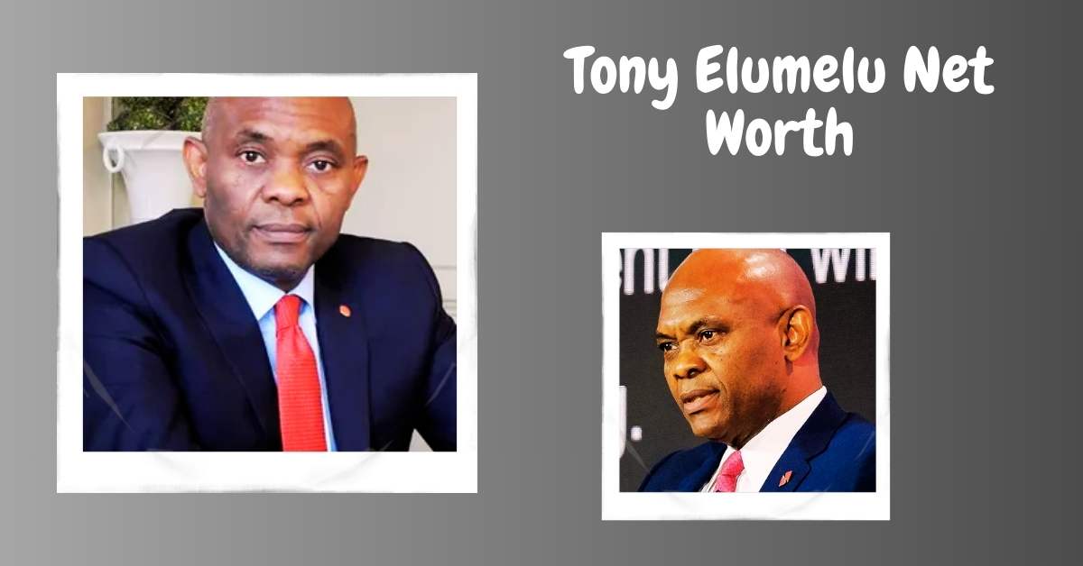 Tony Elumelu Net Worth