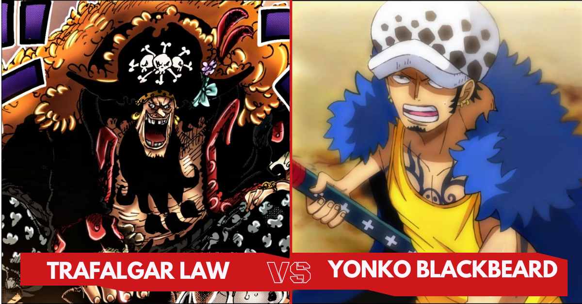 Trafalgar Law Vs. Yonko Blackbeard