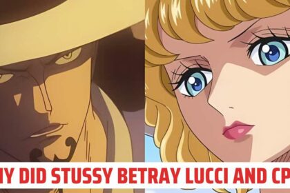 Why did Stussy betray Lucci and CP0?