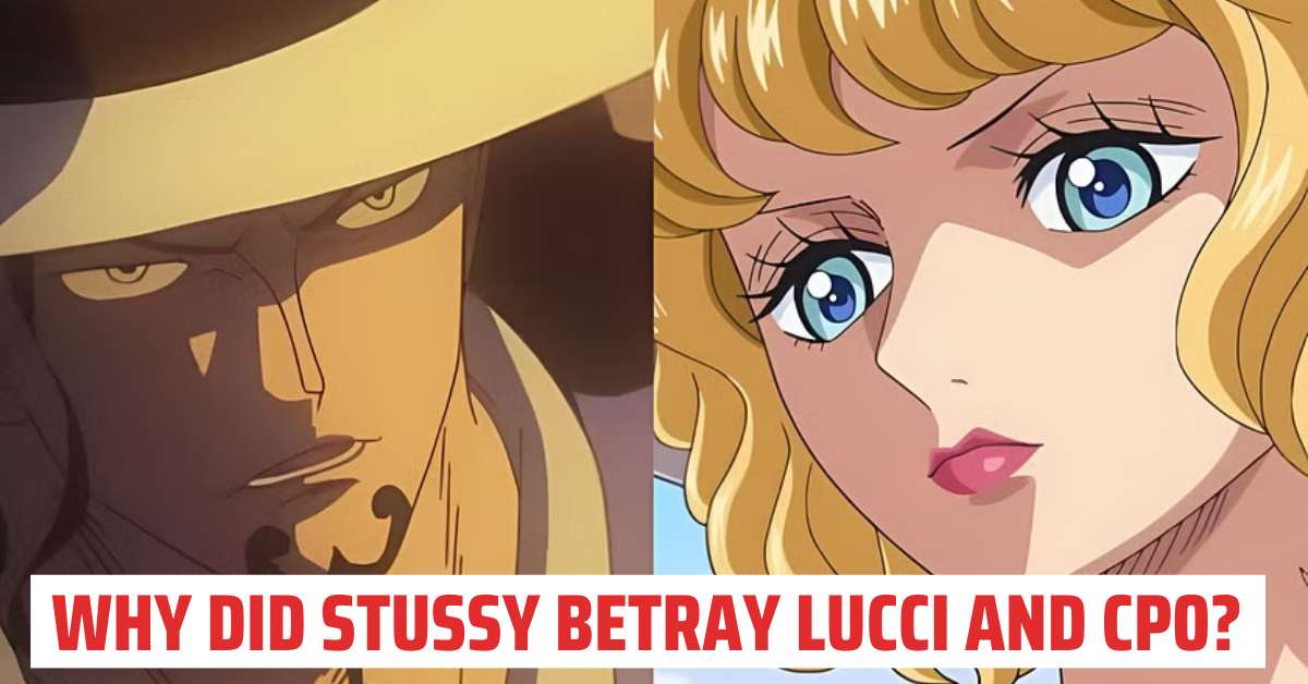 Why did Stussy betray Lucci and CP0?