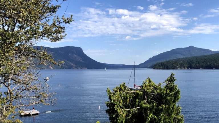 Illustrative scene of a calm blue bay with a sailboat, forested hills and evergreen trees under a partly cloudy sky