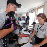 A volunteer holding a puppy at a shelter check-in desk
