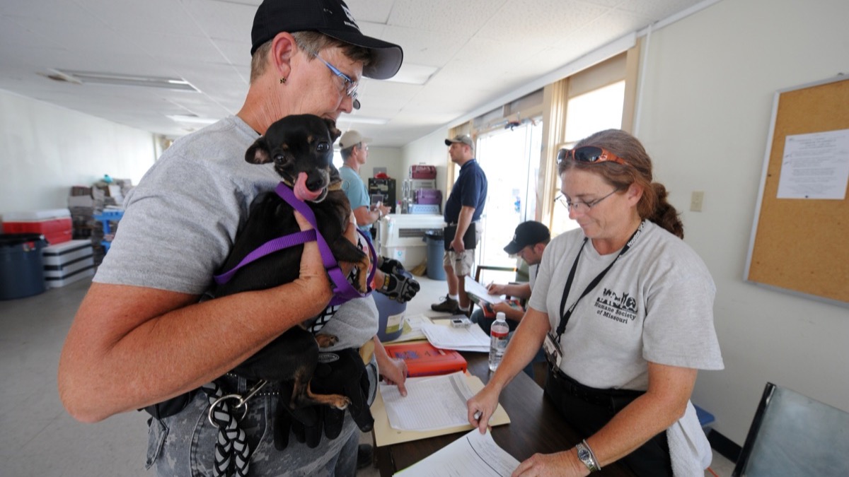 A volunteer holding a puppy at a shelter check-in desk