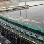 Water spilling over the edge of a round clarifier tank at a wastewater treatment plant