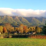 Fields, split-rail fence and log buildings at Wilderness Road State Park below a forested mountain ridge on a fall morning